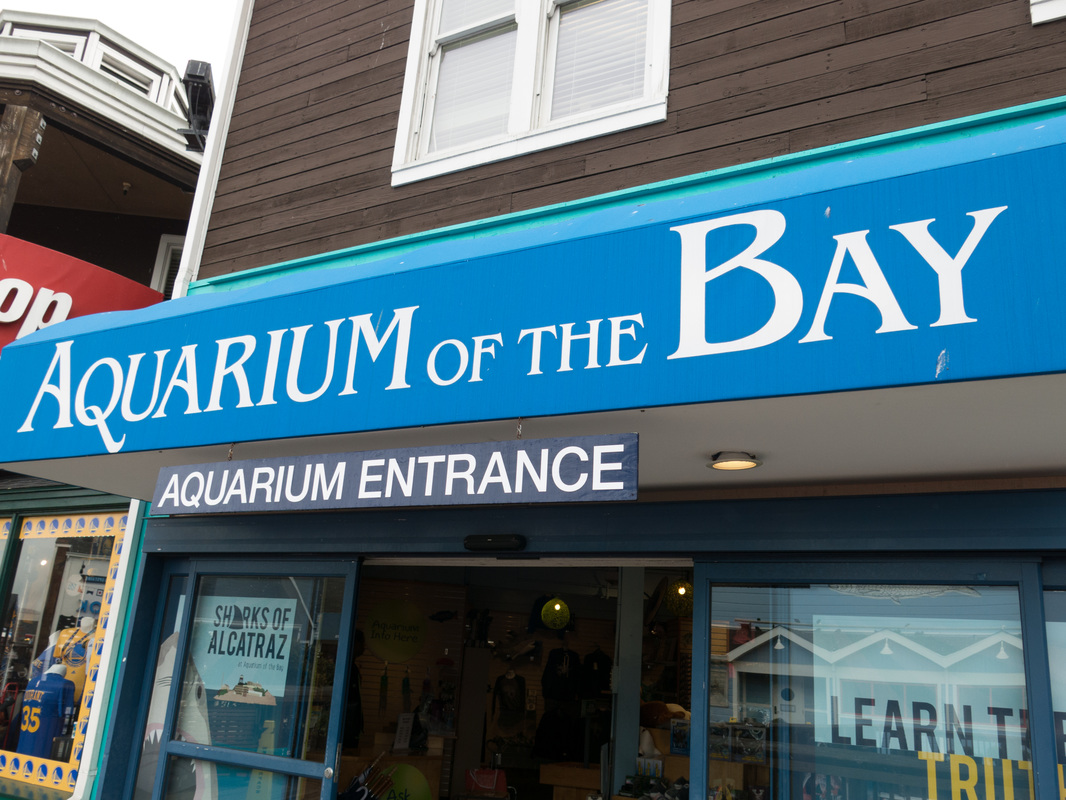 Aquarium of the Bay, Pier 39 in San Francisco