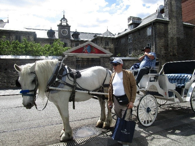 Quebec Horse and Buggy