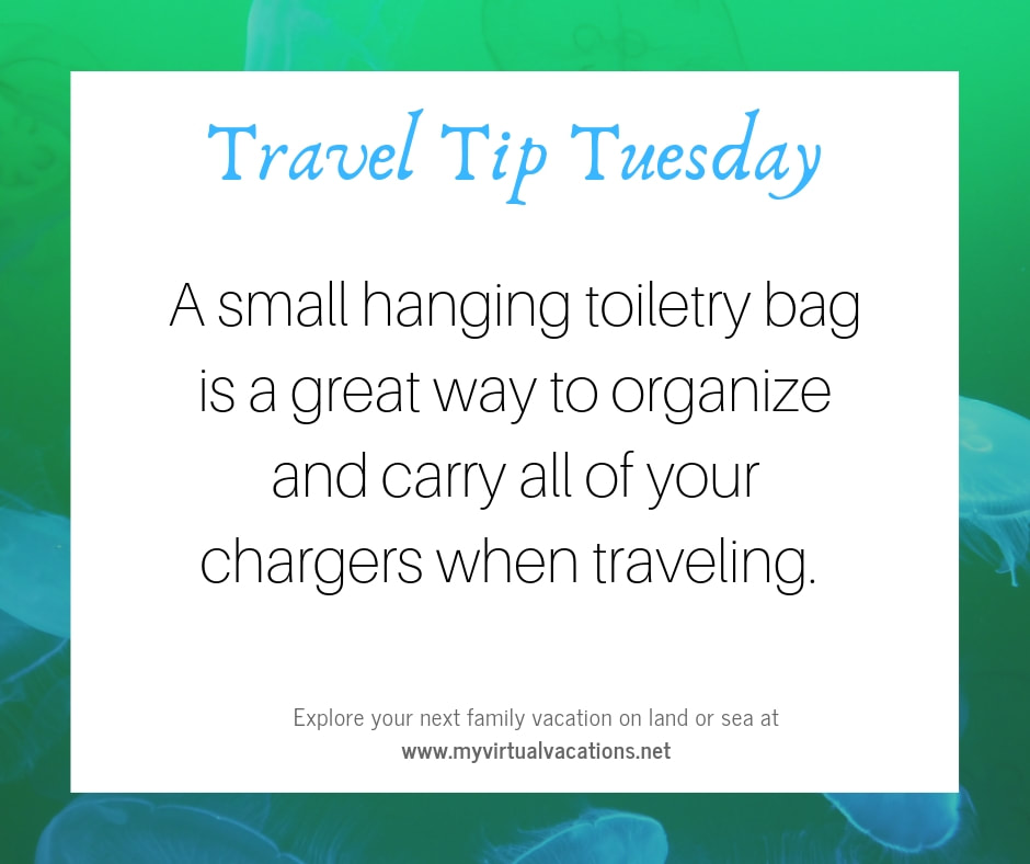 Best travel tip - Easy way to carry electronic charges